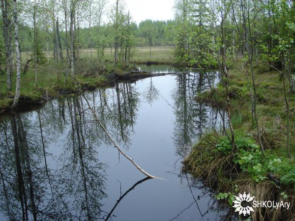 поездка к маме